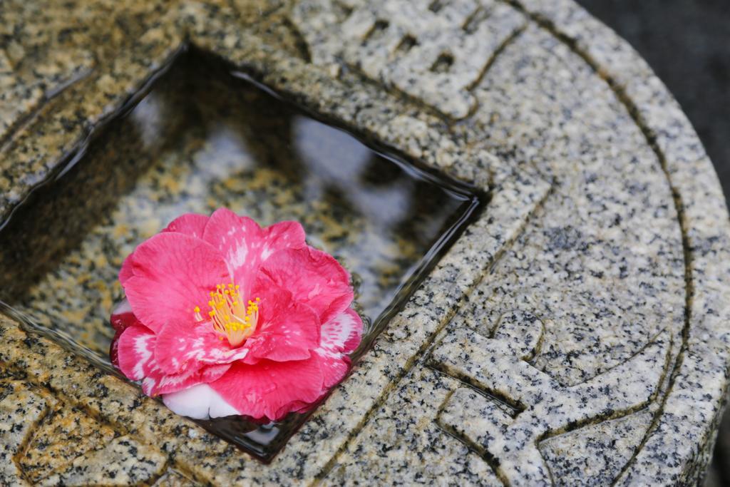 城崎温泉 旅館 つばき乃 - Kinosaki Onsen Ryokan Tsubakino Toyooka  Esterno foto