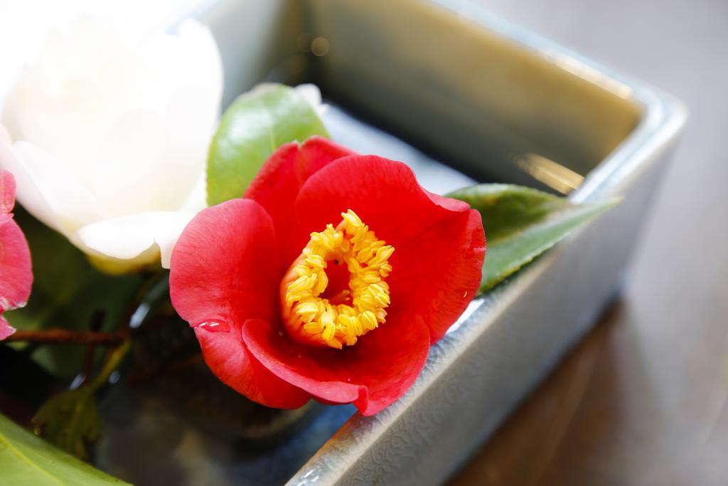 城崎温泉 旅館 つばき乃 - Kinosaki Onsen Ryokan Tsubakino Toyooka  Esterno foto